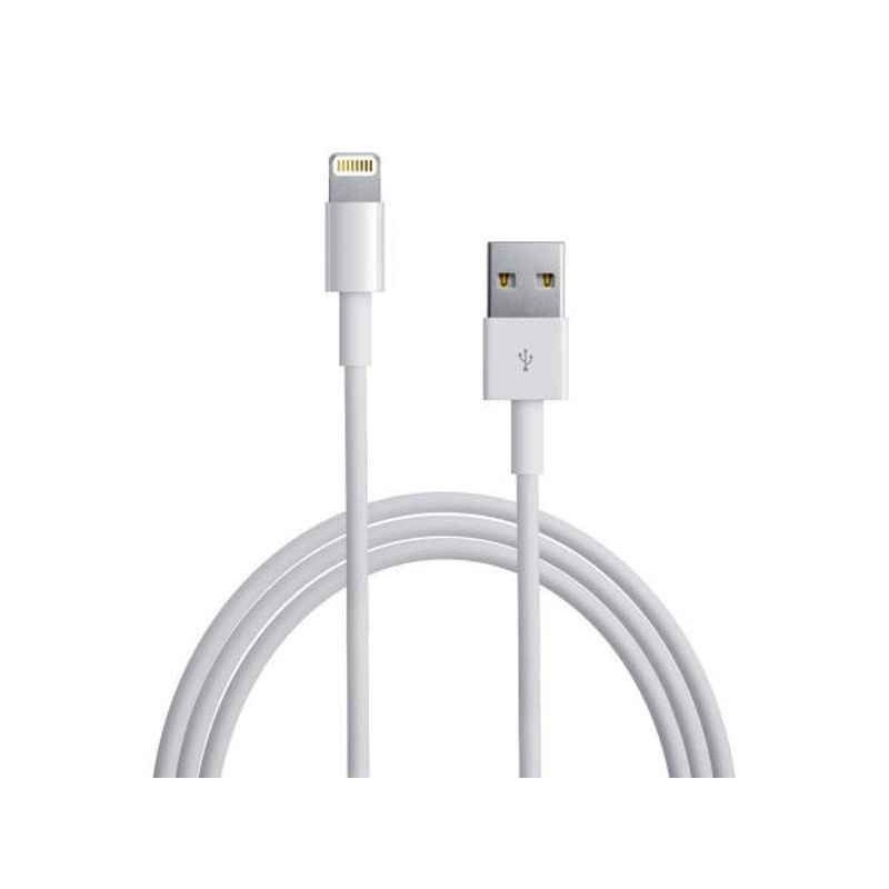 Chargeur IPhone Apple câble Lightning 2.1A 5V