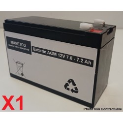 Riello iDialog Plus Schuko IDP 60S – 600VA - Batterie