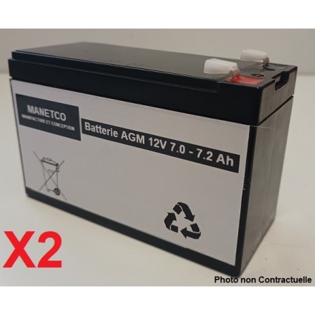 Pack de 2 Batteries 12v pour onduleur Smart-ups 450