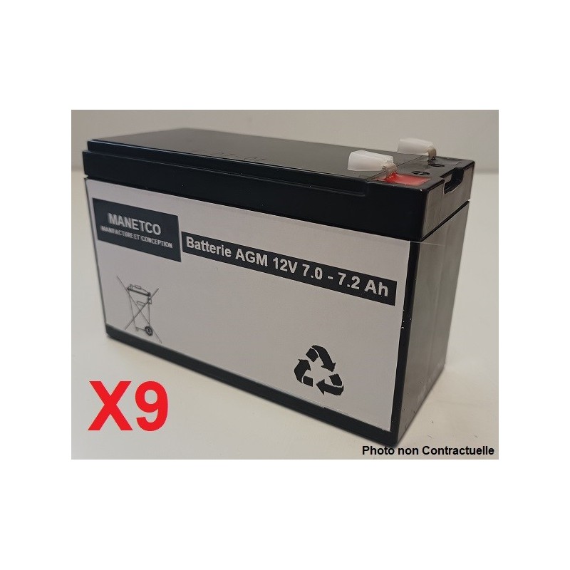 Batteries pour onduleur (ASI) IntelliPower Bright UPS 3000VA 2900W FA00103 