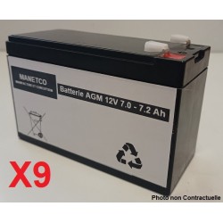 Batteries pour onduleur (ASI) IntelliPower 3000VA 2900W FA00410