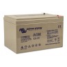 Batterie Victron Energy Blue power 12v 14Ah BAT21212086