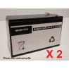 Batterie Onduleur TRIPP LITE SMART SMART1500LCDXL 