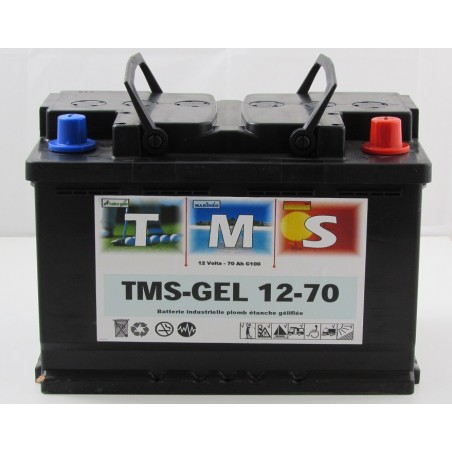 Batterie gel plomb étanche  plaques planes ACEDIS  TMSGEL12-70 12V 60Ah VRLA (2056)