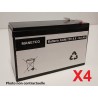 Batterie Onduleur TRIPP LITE SMART SMART3000SLTAA 