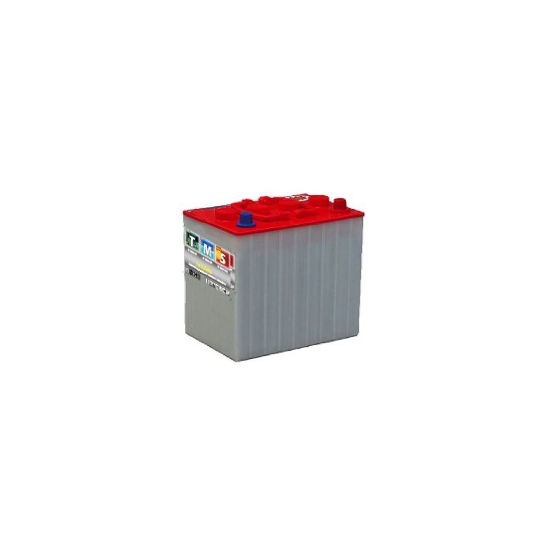Batterie à Décharge lente 8v 250Ah ACEDIS Tubulaire TMS8-160T Batterie à Décharge lente 8v 250Ah ACEDIS Tubulaire TMS8-160T