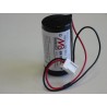 Piles BATLi01 compatible DAITEM 3.6V 6.5Ah pour Alarme Daitem, logisty  - 1