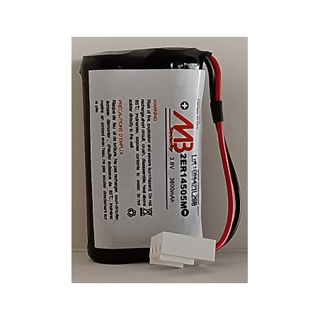 Pille Lithium compatible BATLI05 DAITEM